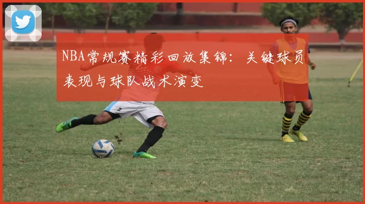 NBA常规赛精彩回放集锦:关键球员表现与球队战术演变