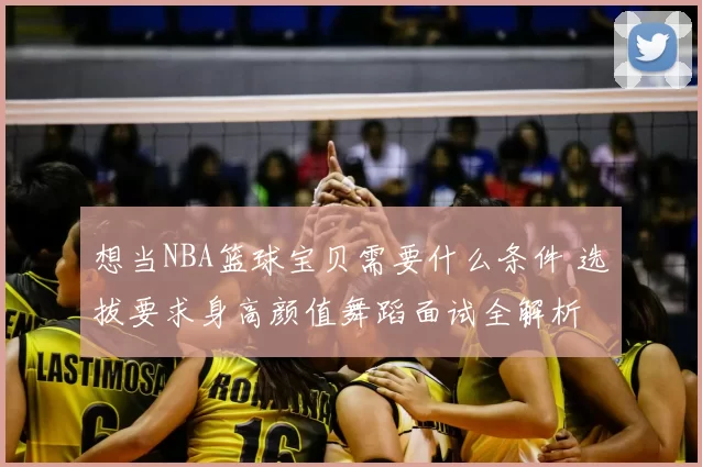 想当NBA篮球宝贝需要什么条件 选拔要求身高颜值舞蹈面试全解析