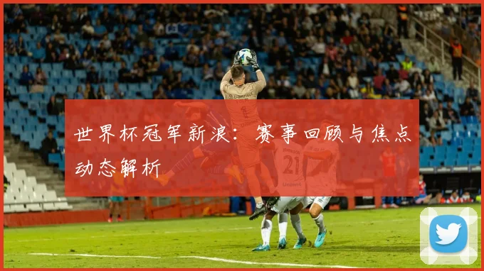 世界杯冠军新浪：赛事回顾与焦点动态解析