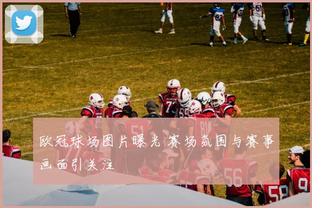 欧冠球场图片曝光 赛场氛围与赛事画面引关注