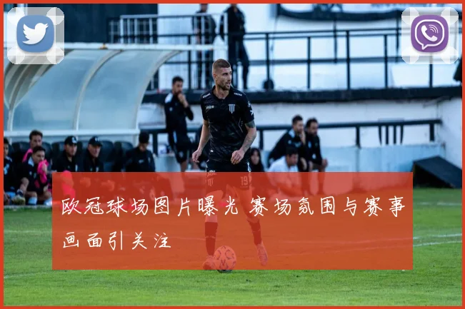 欧冠球场图片曝光 赛场氛围与赛事画面引关注